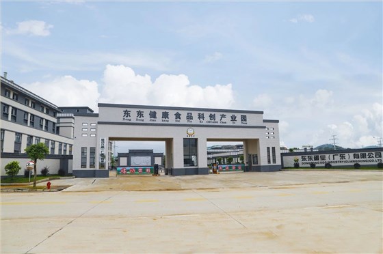 东东健康食品
