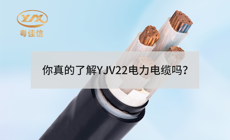 你真的了解YJV22电力电缆吗？