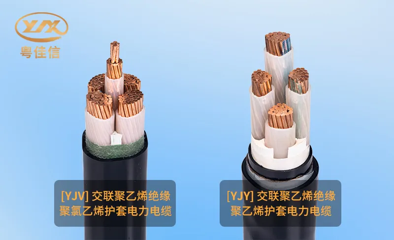 微信图片_20251202162004_1011_45