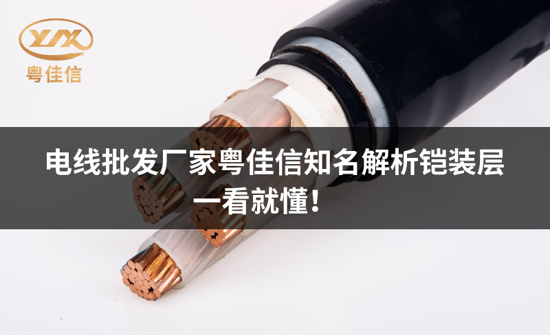 电线批发厂家粤佳信知名解析铠装层，一看就懂！