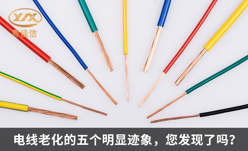 了解电缆绝缘层与保护层的关键区别
